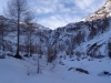DSC00354