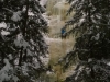 IMG-20180102-WA0017