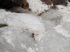 DSCN5173