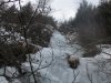 R_IMG_0049