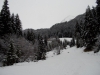 DSCN1740