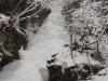 DSCN1874