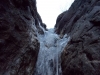 DSCN2936