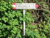 dscf0001