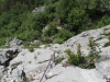 dscf0021