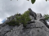 dscf0039