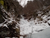 DSCN1401