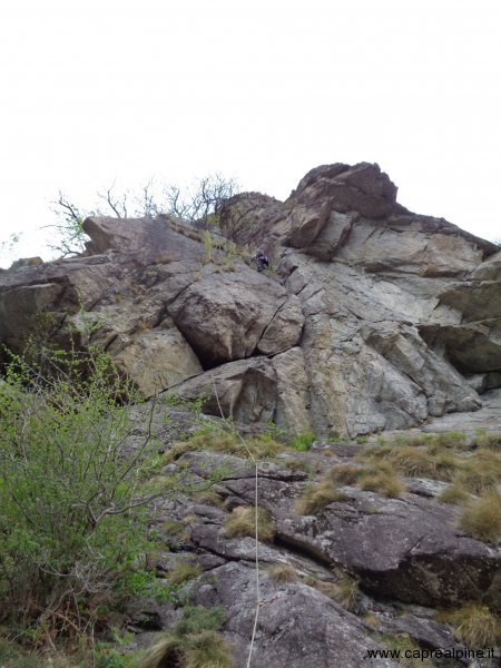 IMG0018