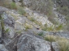 DSCN1937