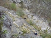 DSCN1938