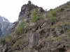 IMG0041