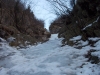DSCN3142