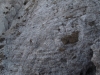 dscf9042