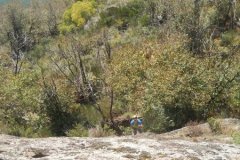 18/10/2025 Silver Living