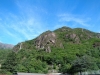 DSC00594