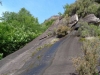 DSC00617