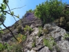 DSC00643