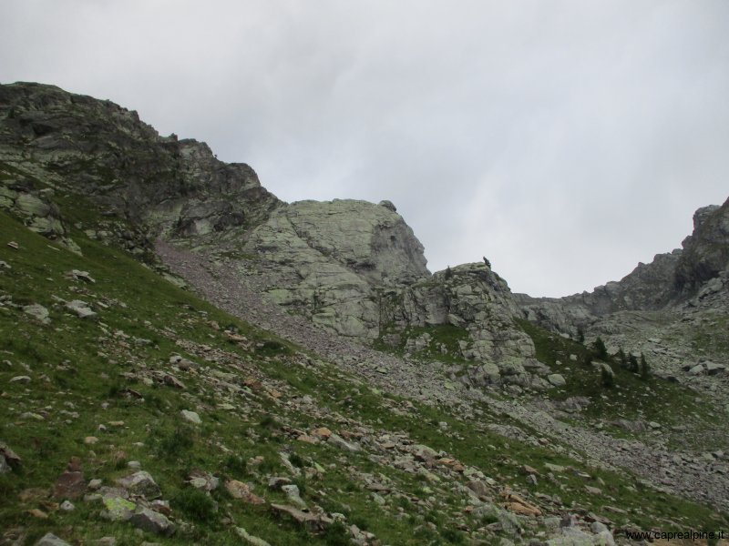 IMG_4066