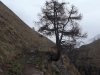 dscf0023