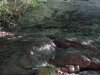 IMG_20220730_093326