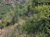 IMG_20220730_135954