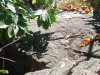 IMG_20220730_181144