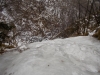 DSCN1657