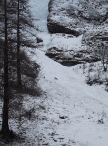 DSCF9642