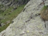 DSC00863