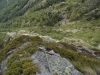 DSCN2732