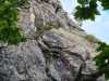 IMG-20210905-WA0014