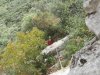 DSCN0024