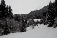 04/02/2017 Val Seriana
