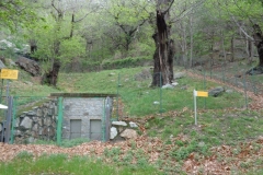  05/05/18 Via eravamo 5 amici albard - Monte Coudrey