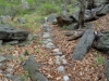 DSC00687