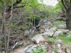 DSC00688