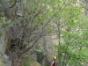 DSC00718