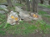 DSC00731
