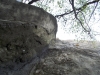 DSCN2673