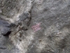 DSCN2675