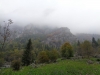 IMG005