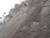 IMG017