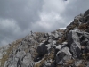 DSCF4325