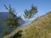 DSC00900