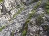 DSC00902