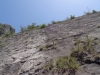 DSC00918