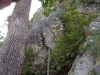 DSCN2036