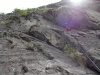 DSCN2082