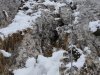 IM_016