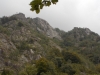 DSCN2236